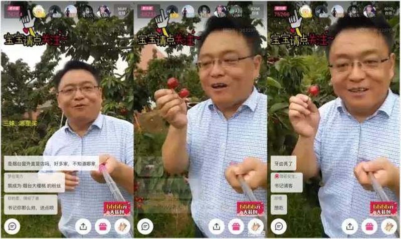 西城镇水果