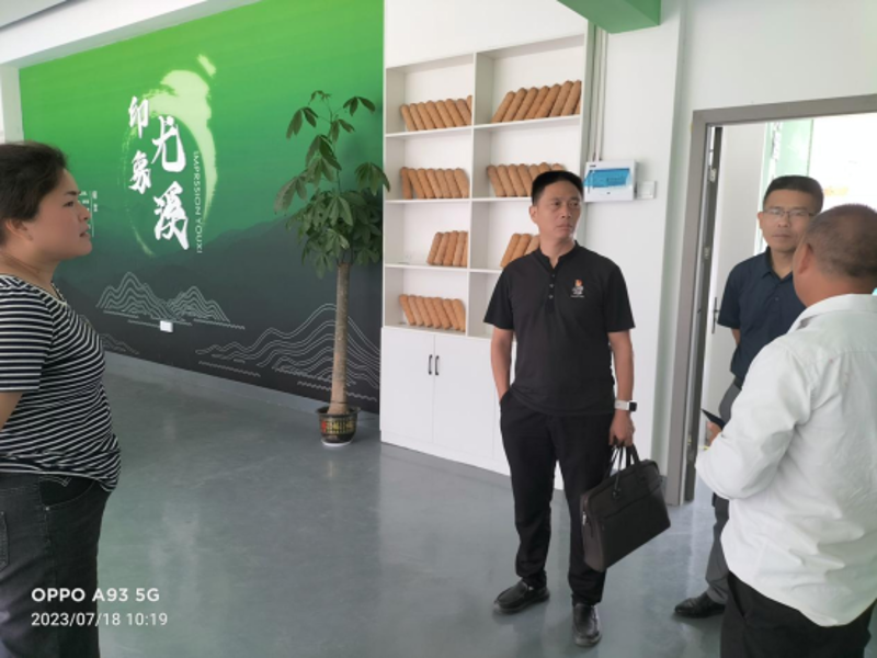 尤溪蔬菜产业的新篇章：绿色崛起