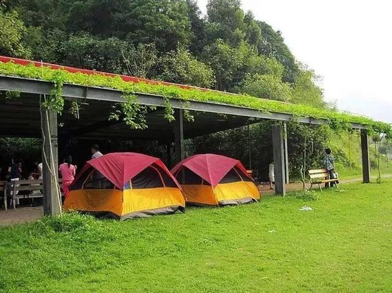 尤溪蔬菜产业:从传统走向现代化的道路